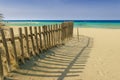 Summertime.The Regional Natural Park Dune Costiere Torre Canne: fence between sea dunes. Apulia-ITALY-